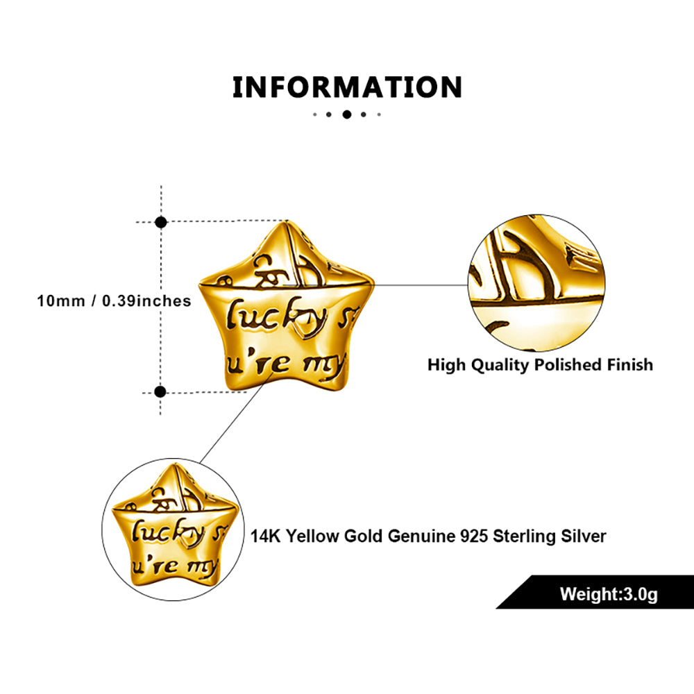 YouAreMyLuckyStarCharmEuropeanBeadSterlingSilverGingerLyneCollection_Gold-3