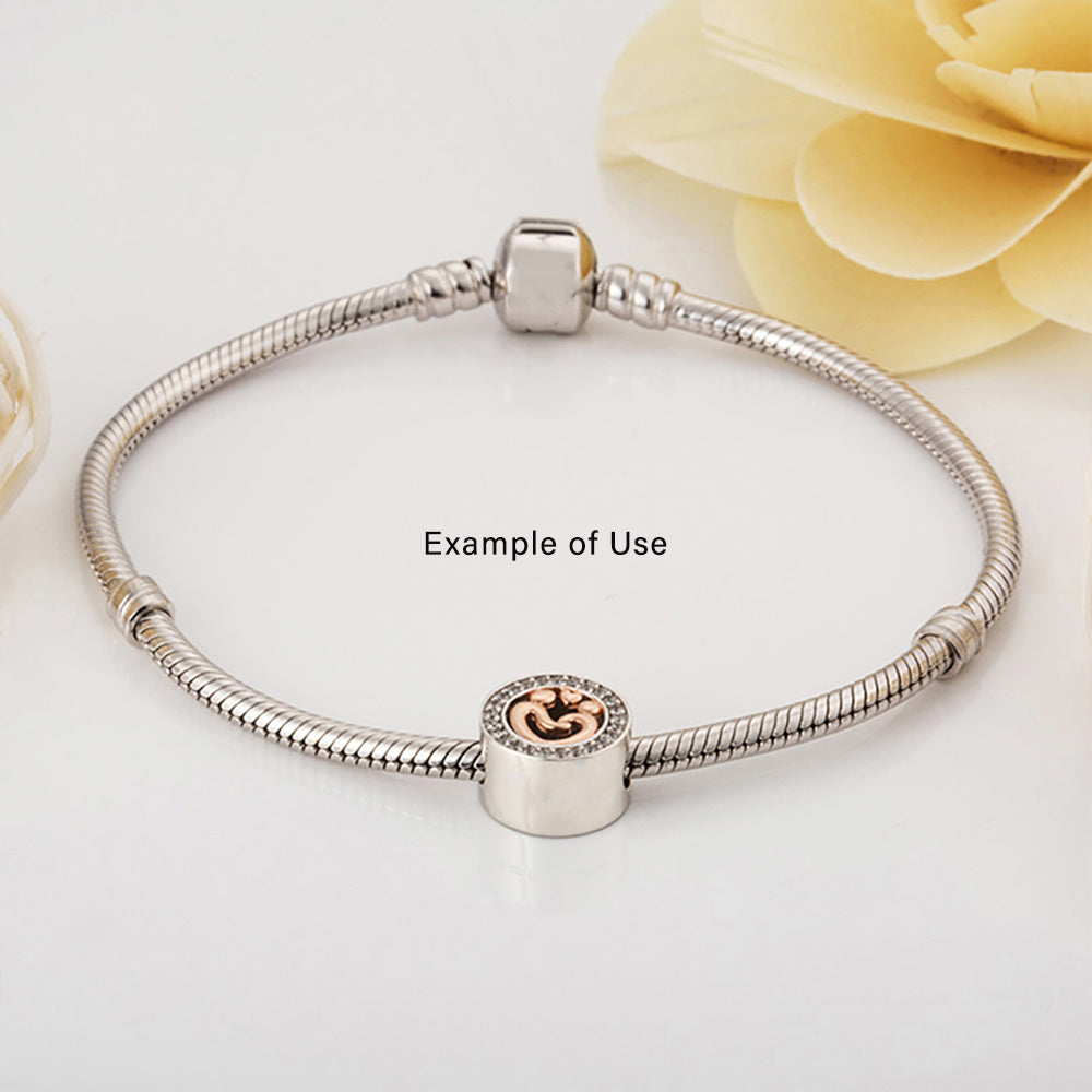 FamilyLoveCharmforWomenCZSterlingSilverEuropeanBeadforBraceletGingerLyneCollection_Silver-4
