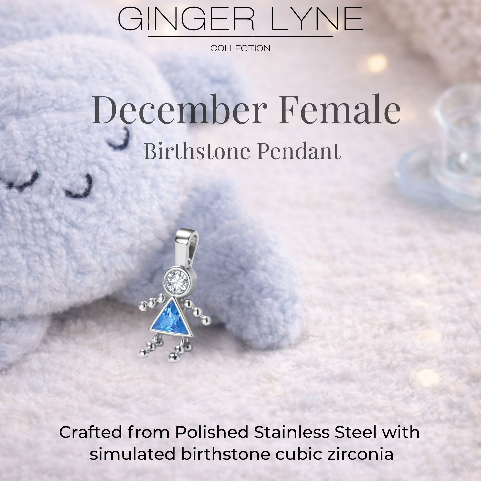 Birthstone Family Pendant for Mom by Ginger Lyne Stainless Steel Cubic Zirconia Charms For Grandma Necklace_Female-December-Silver-3