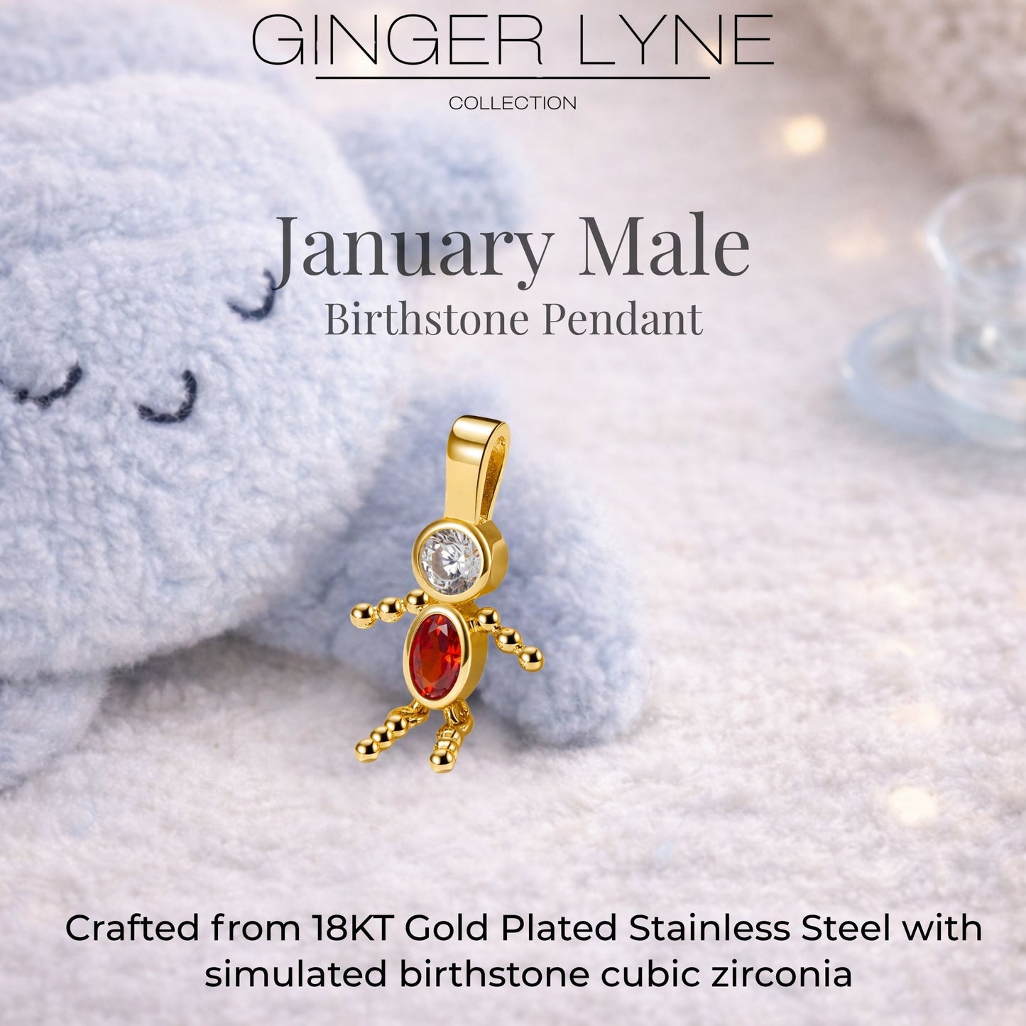 Birthstone Family Pendant for Mom by Ginger Lyne Stainless Steel Cubic Zirconia Charms For Grandma Necklace_Male-January-Gold-3
