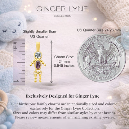 Birthstone Family Pendant for Mom by Ginger Lyne Stainless Steel Cubic Zirconia Charms For Grandma Necklace_Male-February-Gold-2