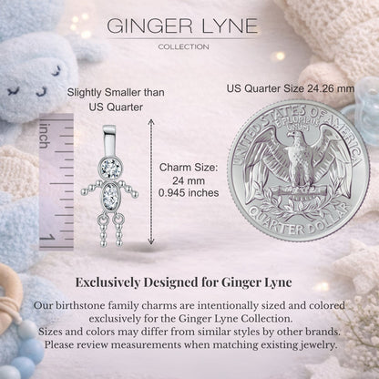 Birthstone Family Pendant for Mom by Ginger Lyne Stainless Steel Cubic Zirconia Charms For Grandma Necklace_Male-April-Silver-2
