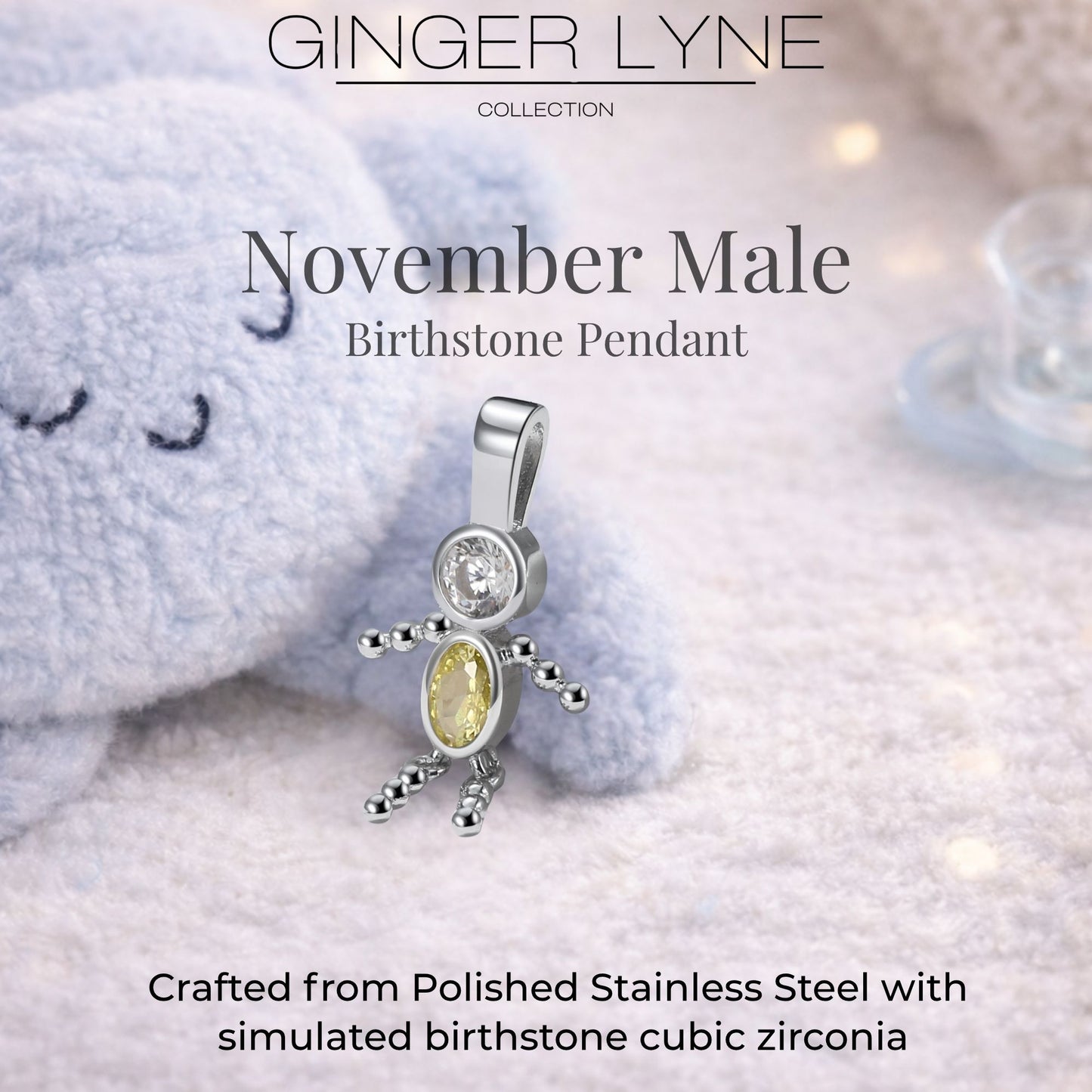Birthstone Family Pendant for Mom by Ginger Lyne Stainless Steel Cubic Zirconia Charms For Grandma Necklace_Male-November-Silver-2