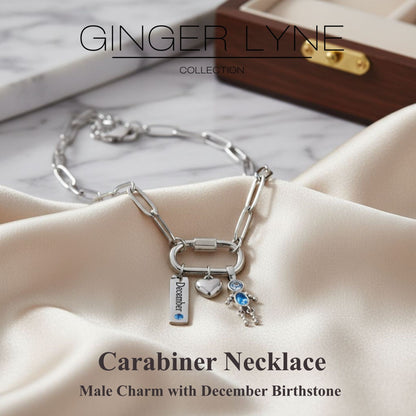 Carabiner Family Birthstone Necklace for Mom or Grandma by Ginger Lyne Stainless Steel CZ Birthday Charms_Male-December-Silver-2
