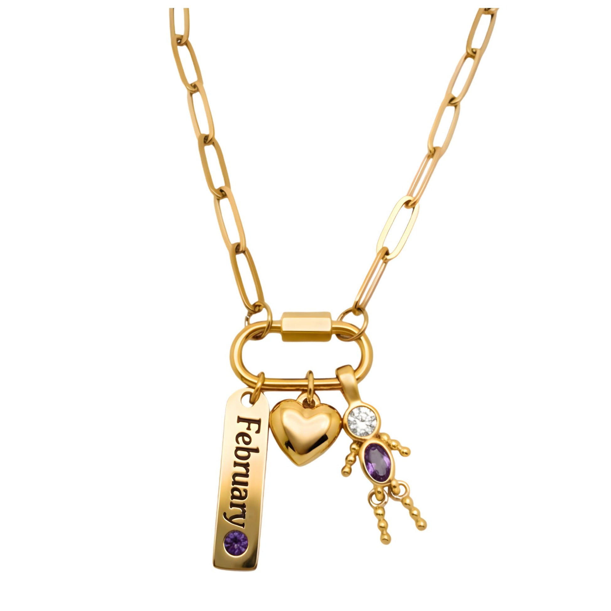 CarabinerFamilyBirthstoneNecklaceforMomorGrandmabyGingerLyneStainlessSteelCZBirthdayCharms_Male-February-Gold-1