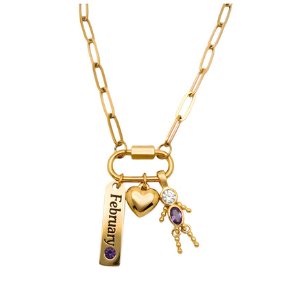 CarabinerFamilyBirthstoneNecklaceforMomorGrandmabyGingerLyneStainlessSteelCZBirthdayCharms_Male-February-Gold-1