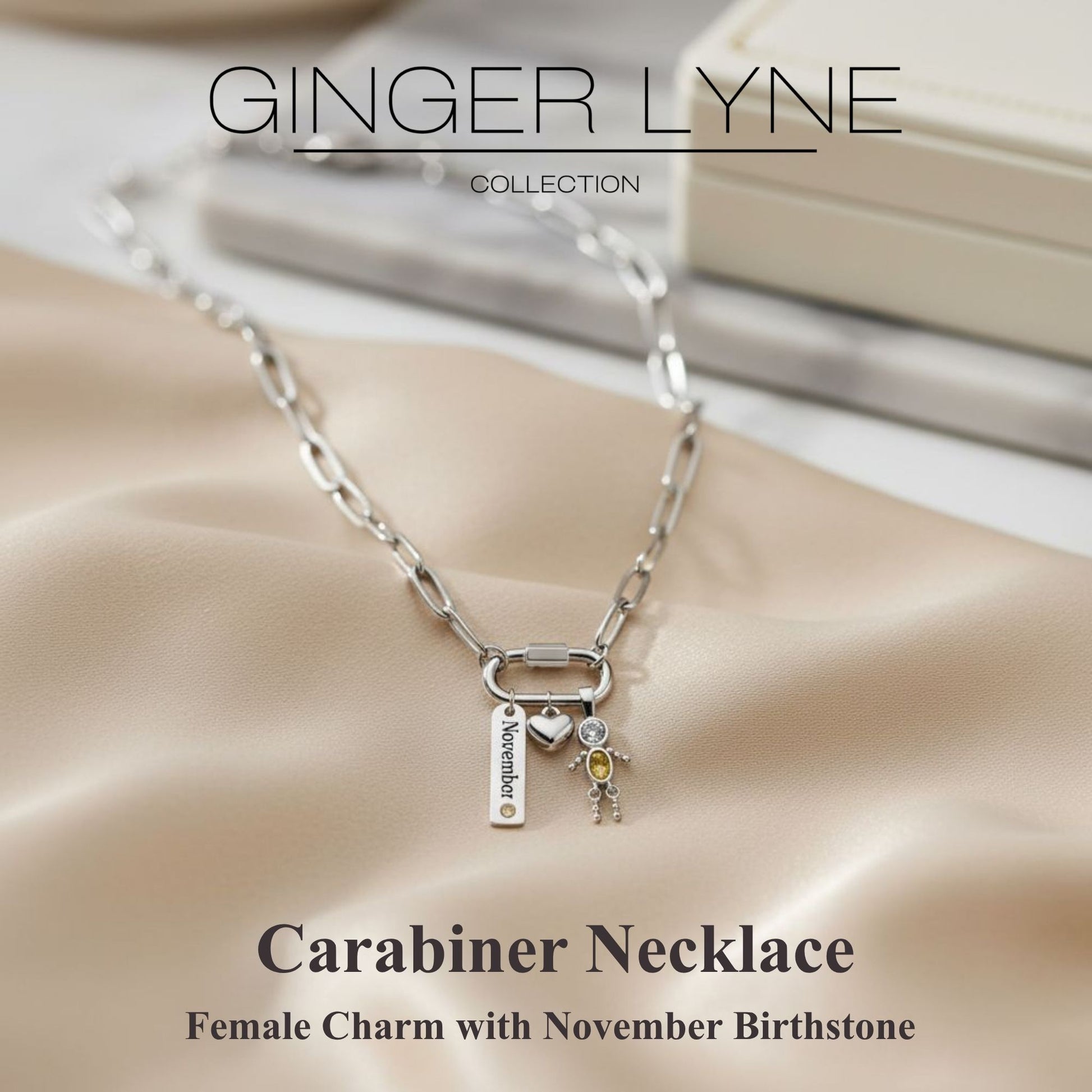 Carabiner Family Birthstone Necklace for Mom or Grandma by Ginger Lyne Stainless Steel CZ Birthday Charms_Male-November-Silver-2