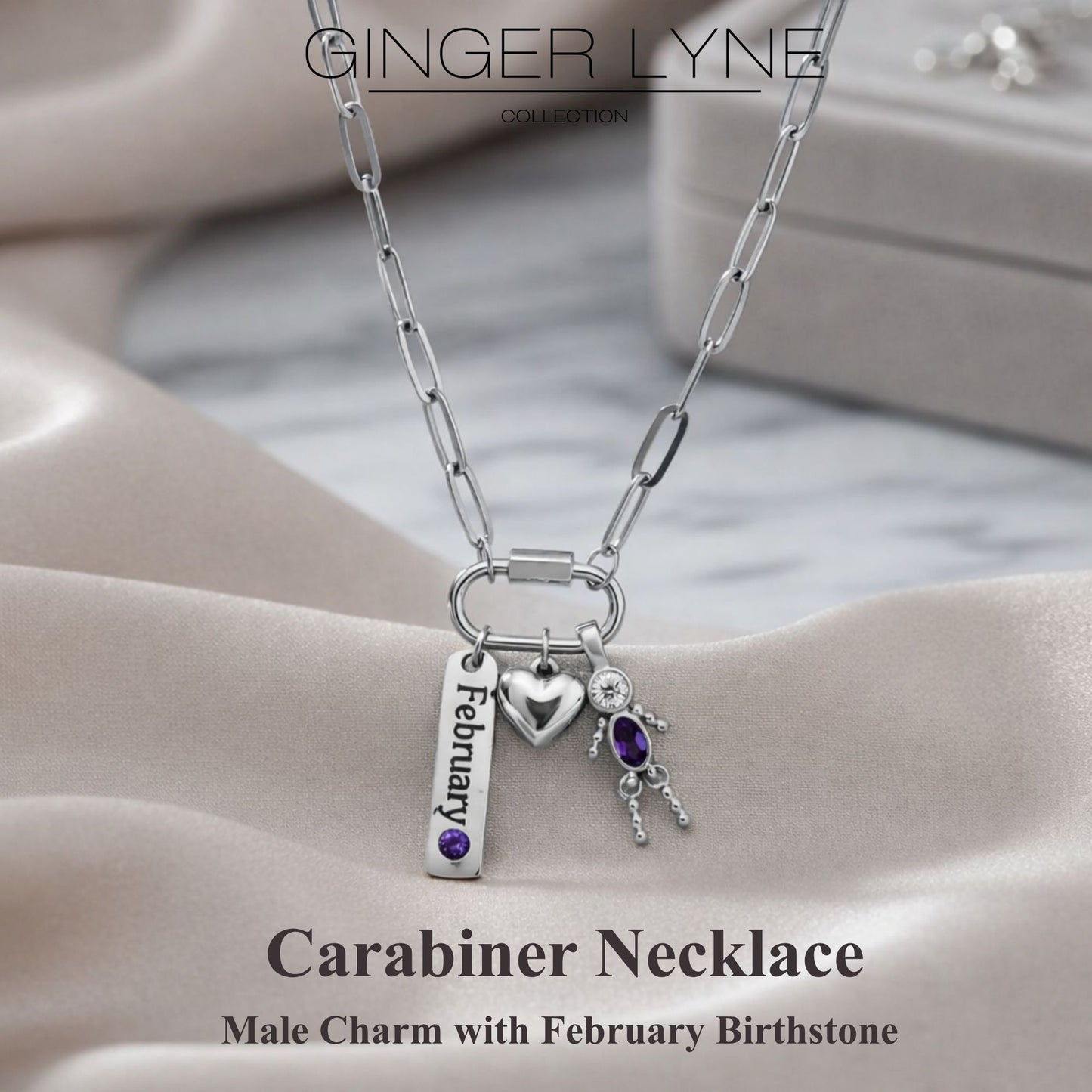 Carabiner Family Birthstone Necklace for Mom or Grandma by Ginger Lyne Stainless Steel CZ Birthday Charms_Male-February-Silver-2