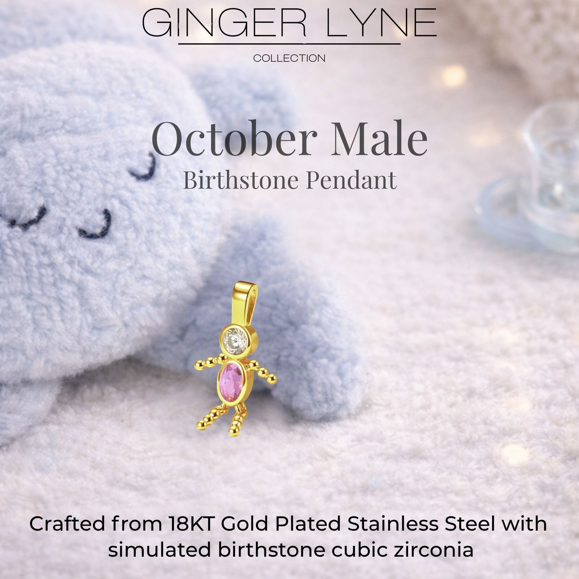 Birthstone Family Pendant for Mom by Ginger Lyne Stainless Steel Cubic Zirconia Charms For Grandma Necklace_Male-October-Gold-3