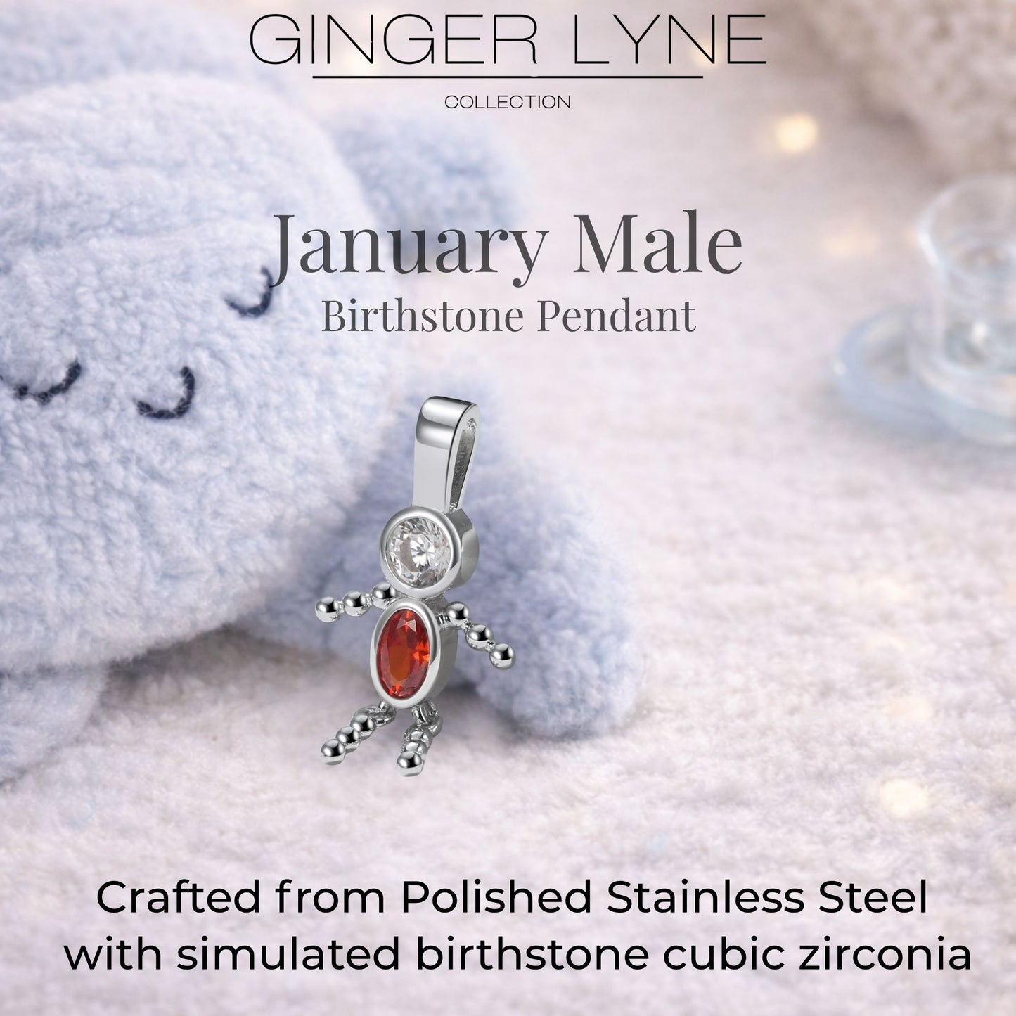 Birthstone Family Pendant for Mom by Ginger Lyne Stainless Steel Cubic Zirconia Charms For Grandma Necklace_Male-January-Silver-3