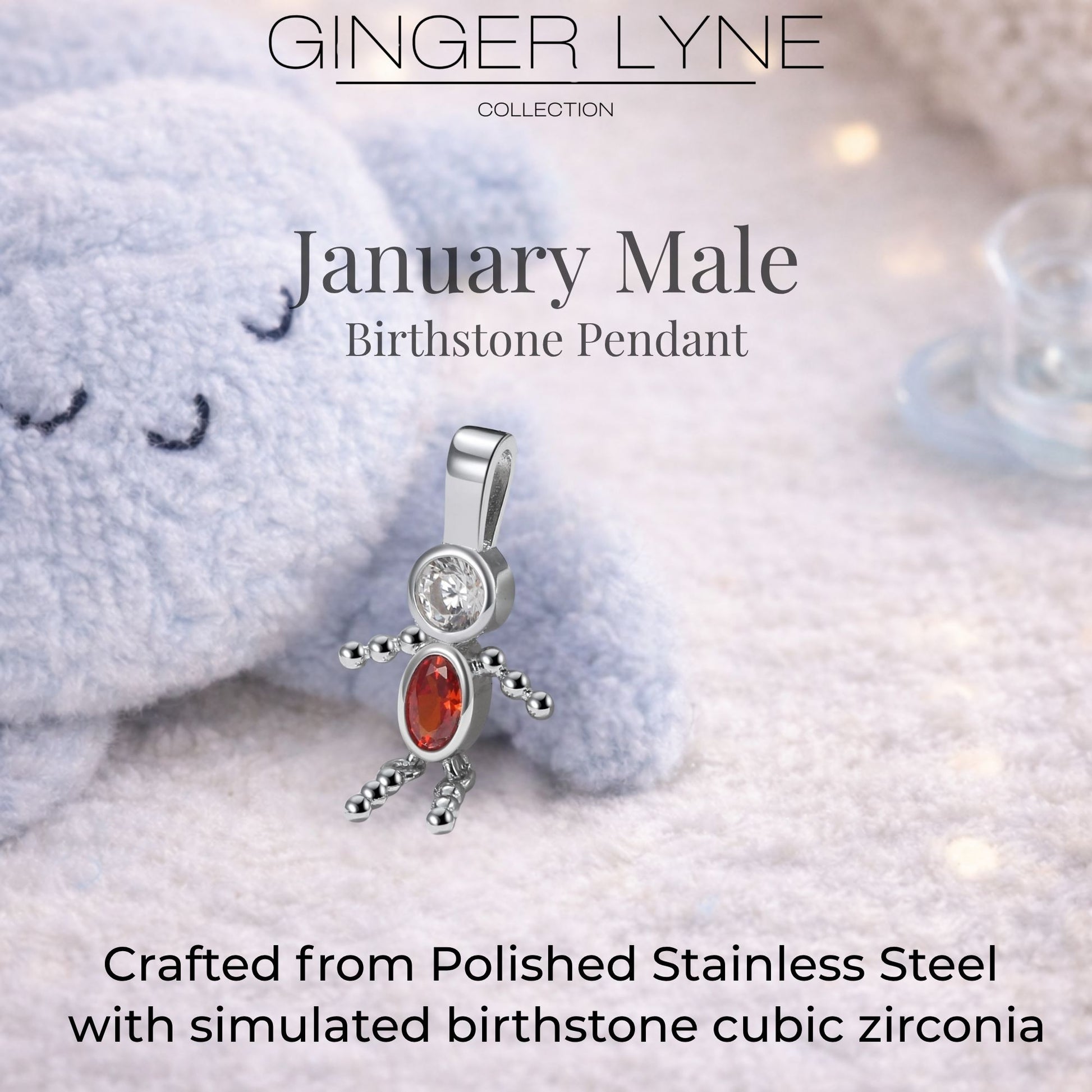 Birthstone Family Pendant for Mom by Ginger Lyne Stainless Steel Cubic Zirconia Charms For Grandma Necklace_Male-January-Silver-3