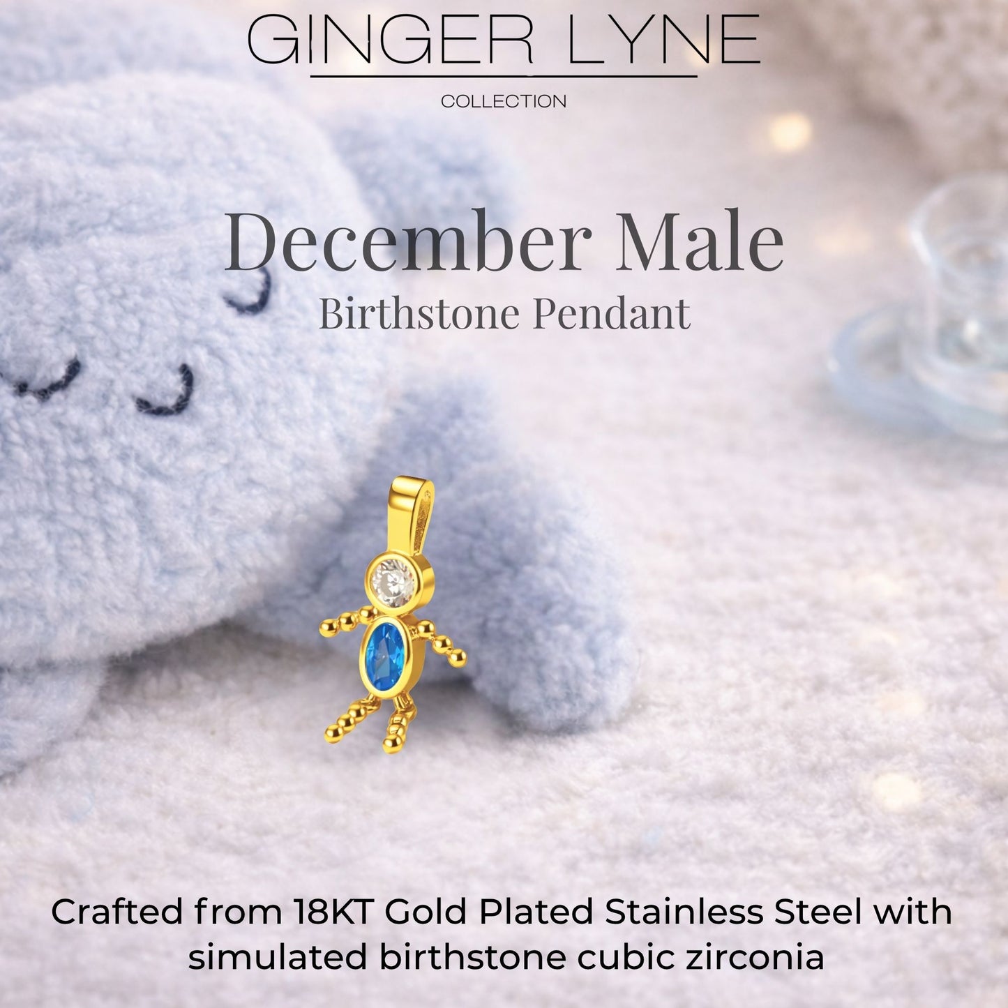 Birthstone Family Pendant for Mom by Ginger Lyne Stainless Steel Cubic Zirconia Charms For Grandma Necklace_Male-December-Gold-3