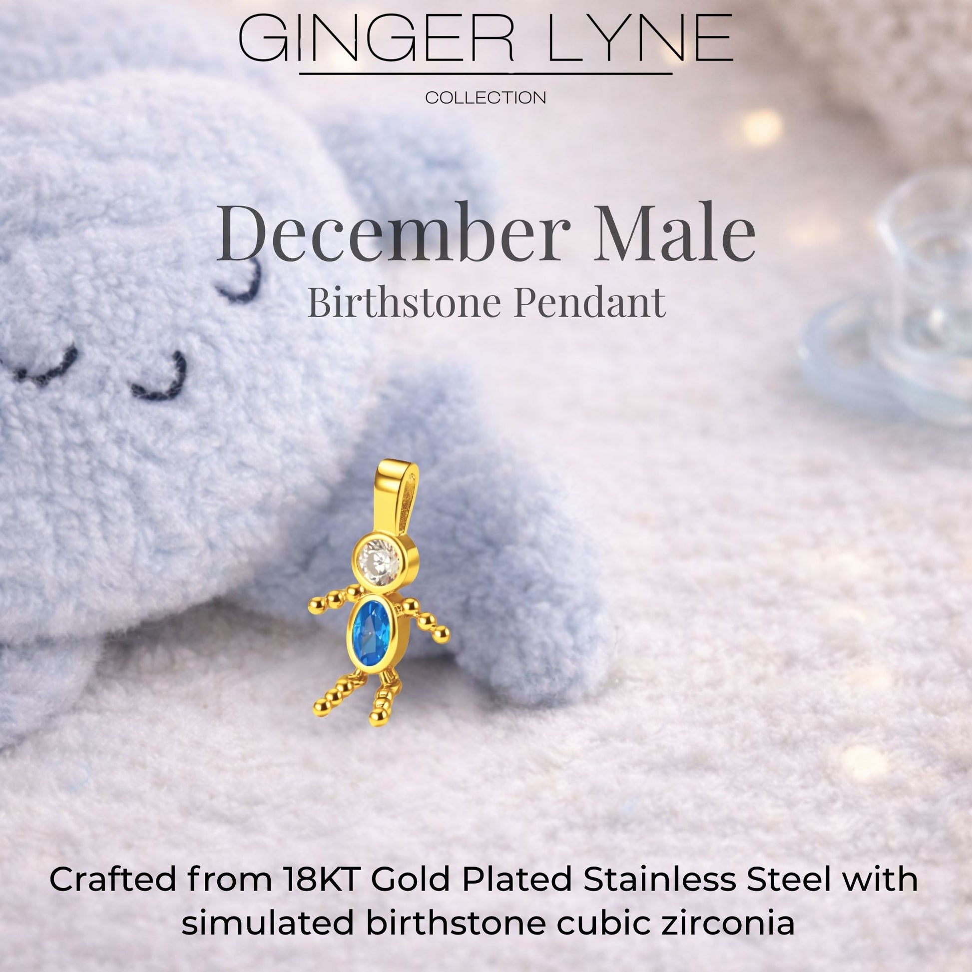 Birthstone Family Pendant for Mom by Ginger Lyne Stainless Steel Cubic Zirconia Charms For Grandma Necklace_Male-December-Gold-3