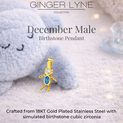 Birthstone Family Pendant for Mom by Ginger Lyne Stainless Steel Cubic Zirconia Charms For Grandma Necklace_Male-December-Gold-3