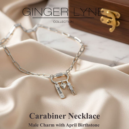 Carabiner Family Birthstone Necklace for Mom or Grandma by Ginger Lyne Stainless Steel CZ Birthday Charms_Male-April-Silver-2
