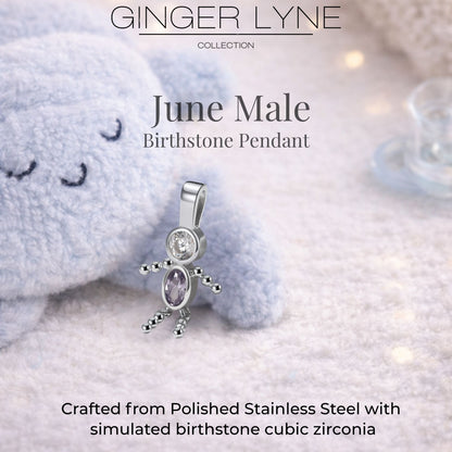 Birthstone Family Pendant for Mom by Ginger Lyne Stainless Steel Cubic Zirconia Charms For Grandma Necklace_Male-June-Silver-3