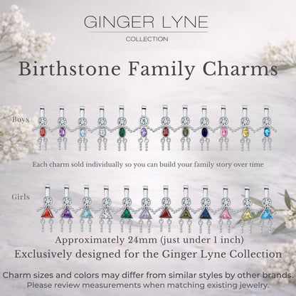 BirthstoneFamilyPendantforMombyGingerLyneStainlessSteelCubicZirconiaCharmsForGrandmaNecklace_Pink-3