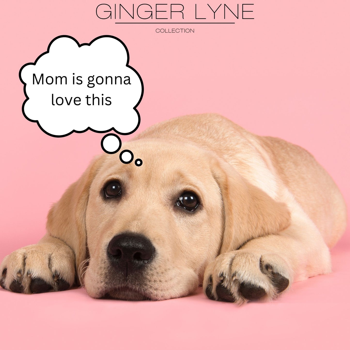 Labrador Retriever Lab Dog Necklace Sterling Silver Womens Ginger Lyne Collection - Necklace