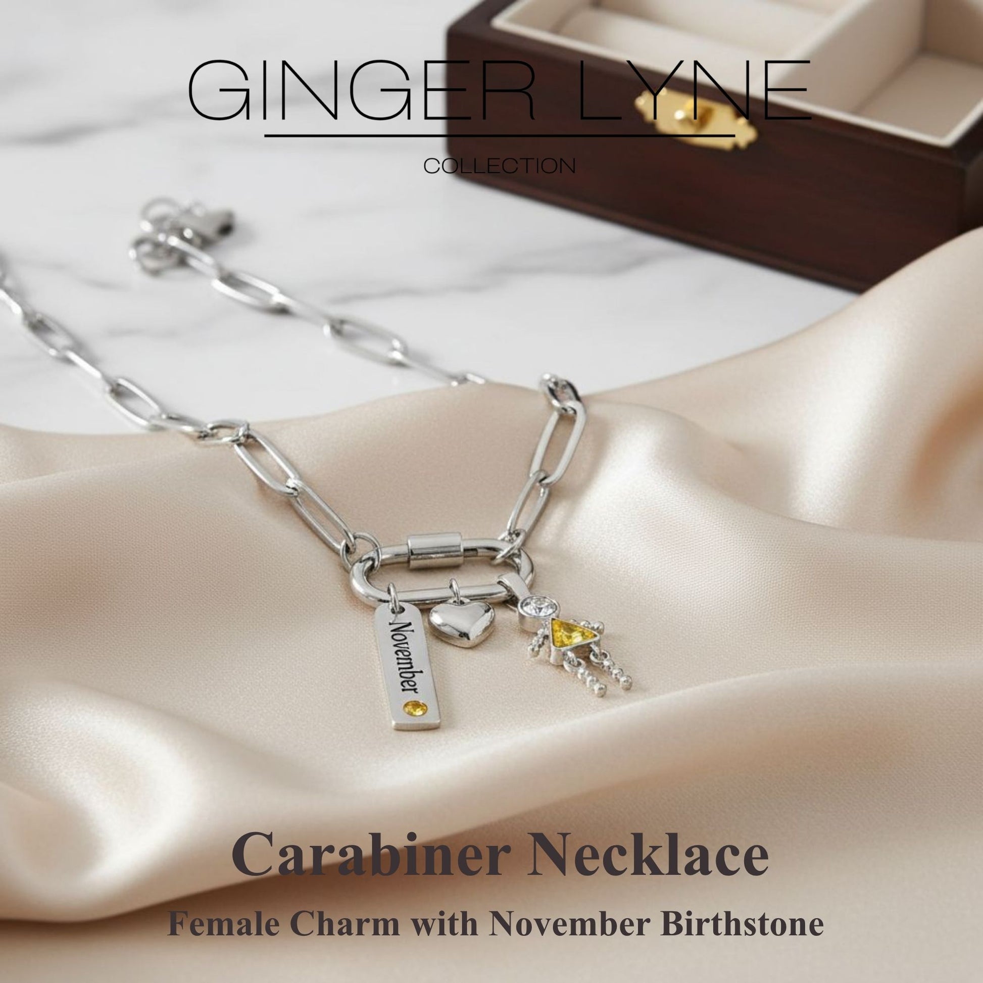 Carabiner Family Birthstone Necklace for Mom or Grandma by Ginger Lyne Stainless Steel CZ Birthday Charms_Female-November-Silver-2