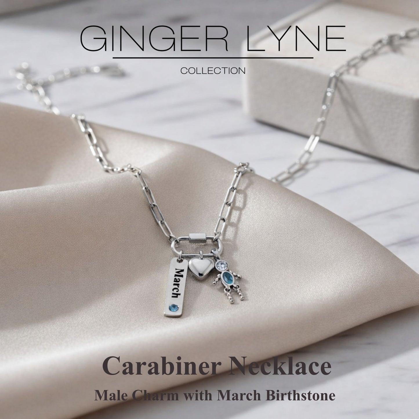 Carabiner Family Birthstone Necklace for Mom or Grandma by Ginger Lyne Stainless Steel CZ Birthday Charms_Male-March-Silver-2