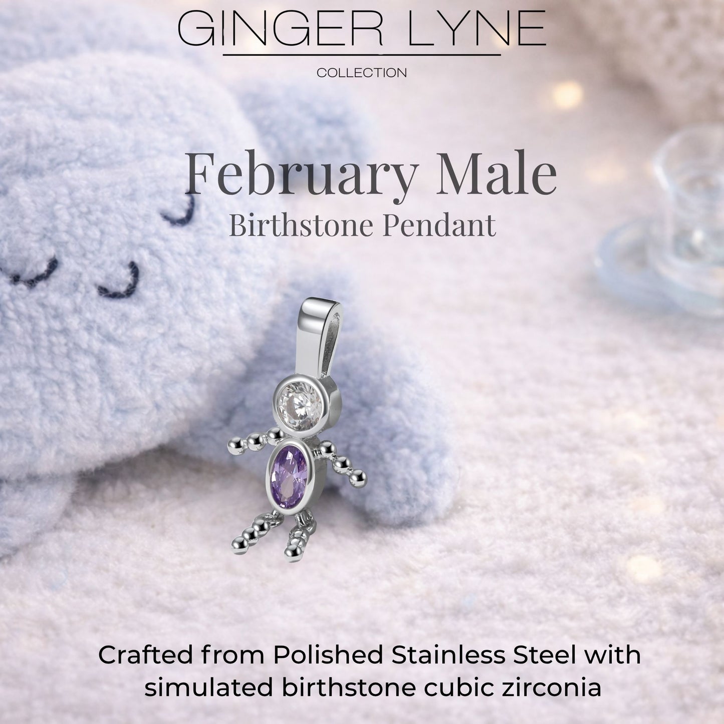 Birthstone Family Pendant for Mom by Ginger Lyne Stainless Steel Cubic Zirconia Charms For Grandma Necklace_Male-February-Silver-3