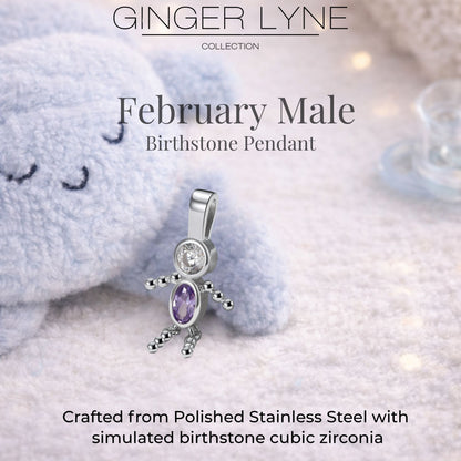 Birthstone Family Pendant for Mom by Ginger Lyne Stainless Steel Cubic Zirconia Charms For Grandma Necklace_Male-February-Silver-3