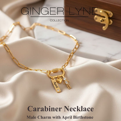 Carabiner Family Birthstone Necklace for Mom or Grandma by Ginger Lyne Stainless Steel CZ Birthday Charms_Male-April-Gold-2