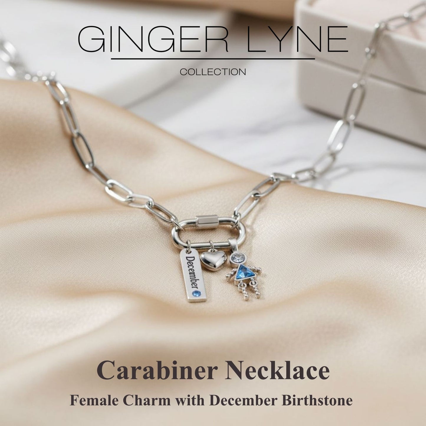 Carabiner Family Birthstone Necklace for Mom or Grandma by Ginger Lyne Stainless Steel CZ Birthday Charms_Female-December-Silver-2