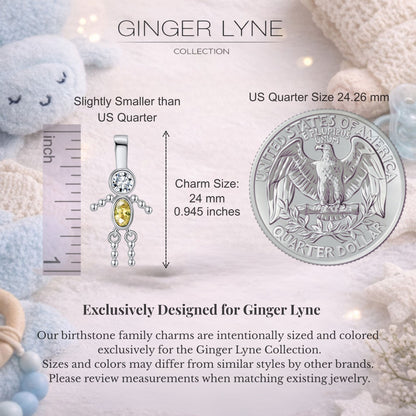 Birthstone Family Pendant for Mom by Ginger Lyne Stainless Steel Cubic Zirconia Charms For Grandma Necklace_Male-November-Silver-3