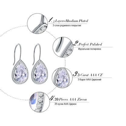 Hook Drop Earrings for Women by Ginger Lyne Teardrop Oval Pear Clear Cubic Zirconia