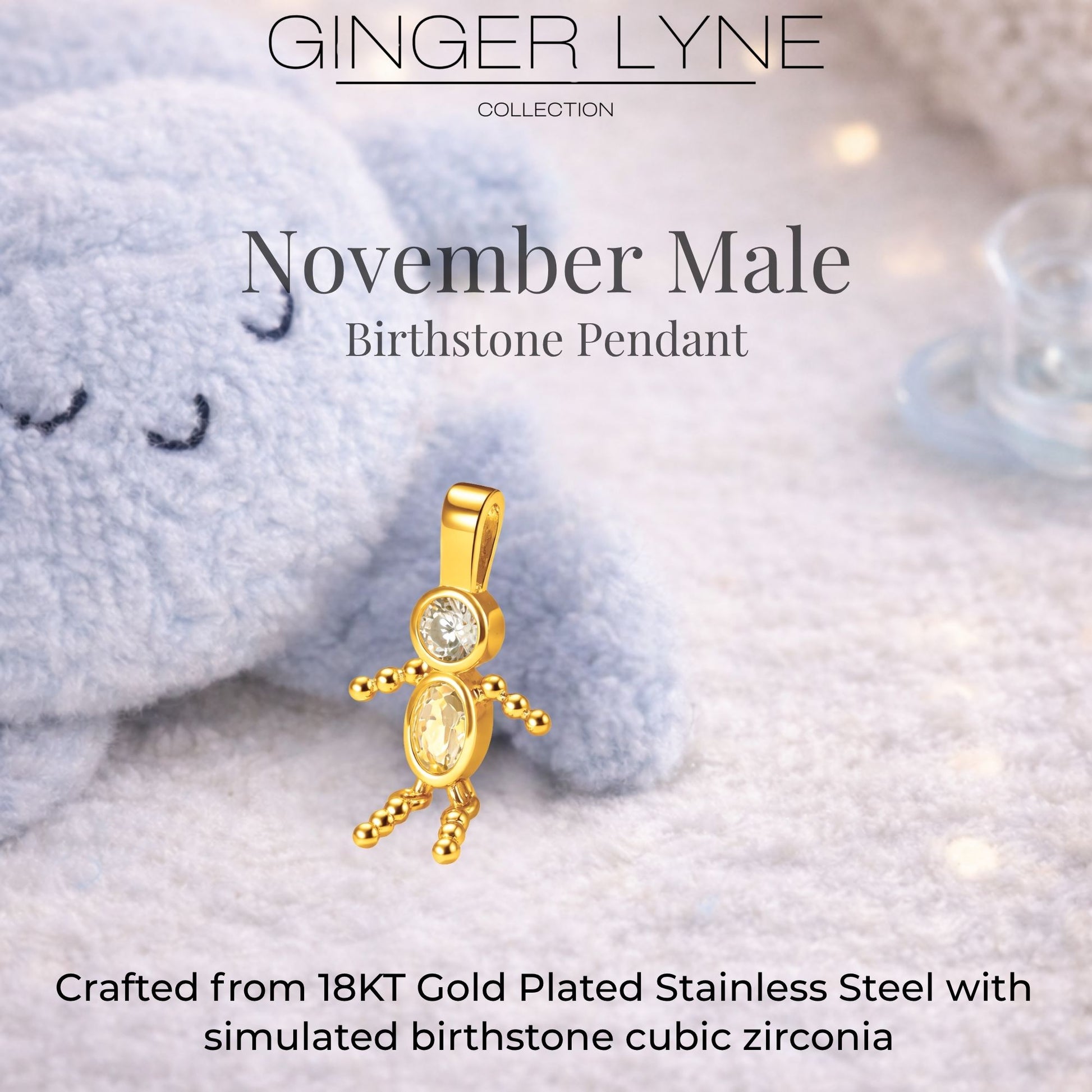 Birthstone Family Pendant for Mom by Ginger Lyne Stainless Steel Cubic Zirconia Charms For Grandma Necklace_Male-November-Gold-3