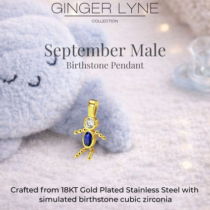 Birthstone Family Pendant for Mom by Ginger Lyne Stainless Steel Cubic Zirconia Charms For Grandma Necklace_Male-September-Gold-3