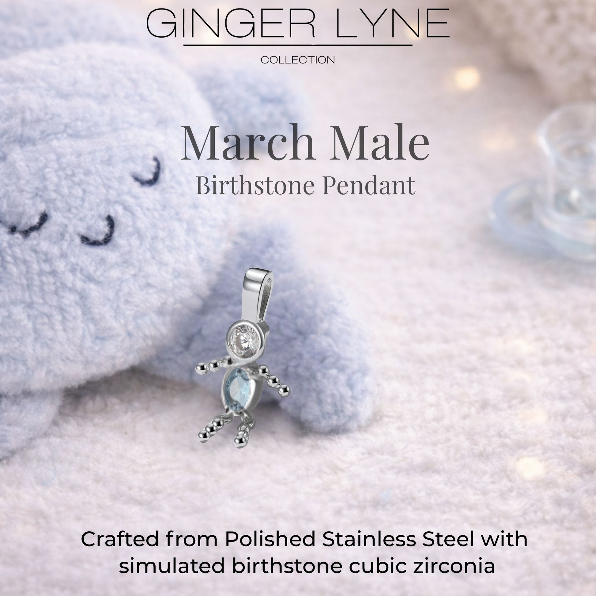 Birthstone Family Pendant for Mom by Ginger Lyne Stainless Steel Cubic Zirconia Charms For Grandma Necklace_Male-March-Silver-3
