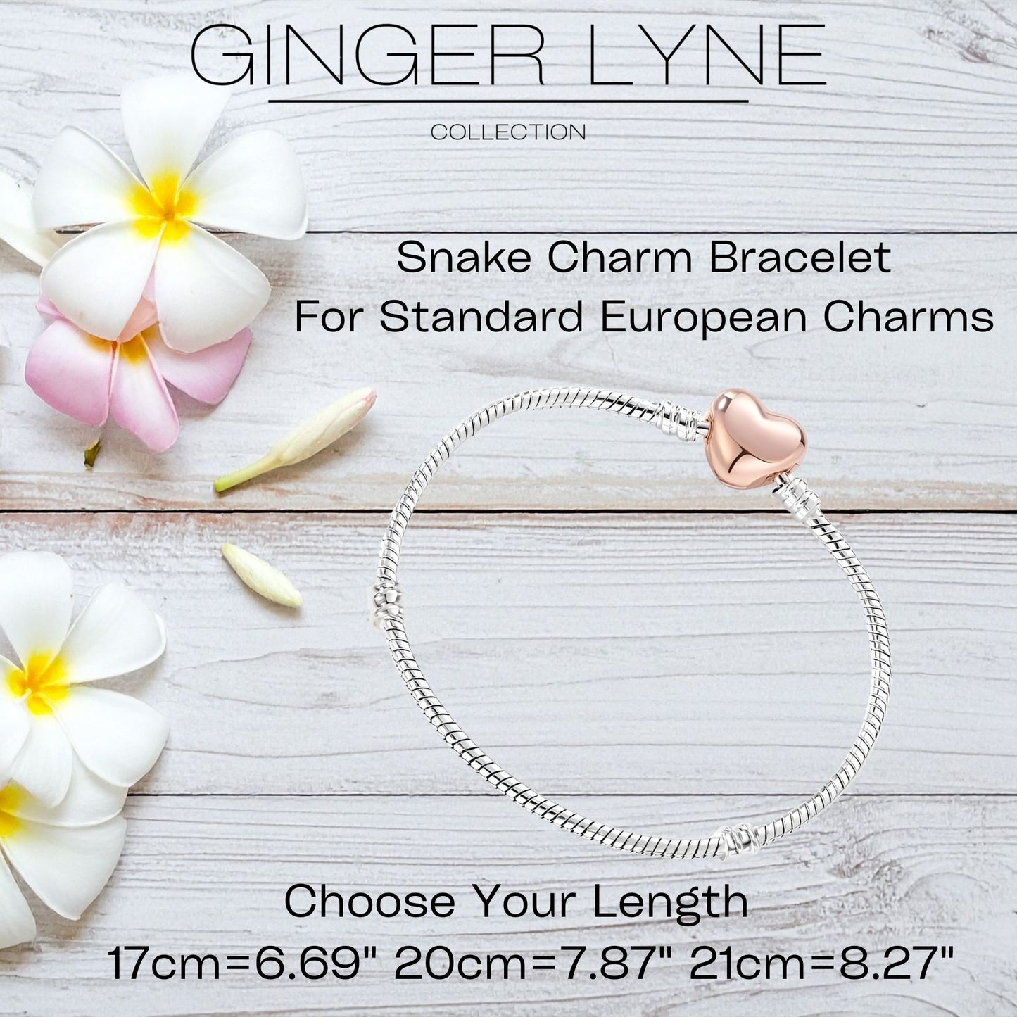 SnakeCharmBraceletWithHeartClaspTwoTonePlatedFitsStandardEuropeanBeadsGingerLyneCollection_Silver-4