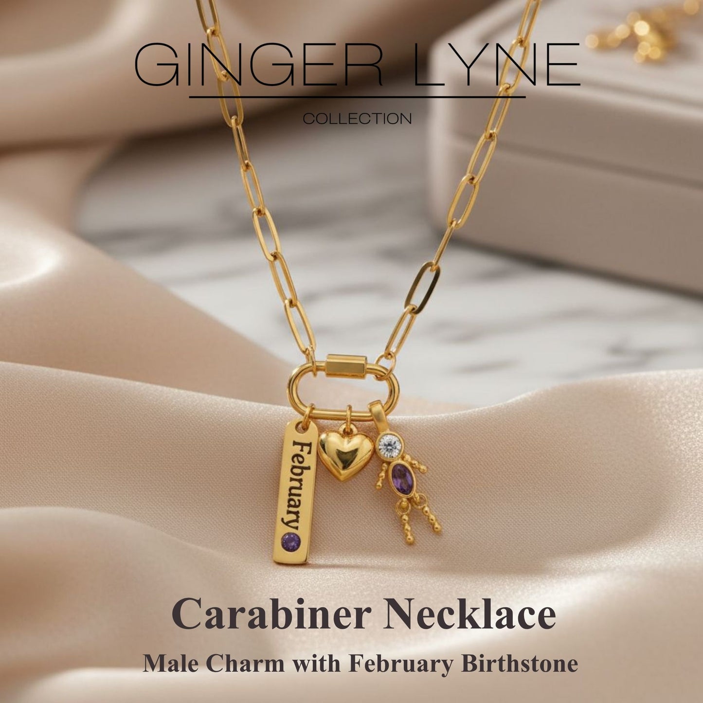 Carabiner Family Birthstone Necklace for Mom or Grandma by Ginger Lyne Stainless Steel CZ Birthday Charms_Male-February-Gold-2