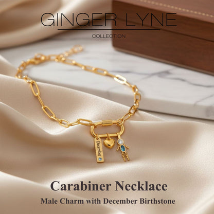 Carabiner Family Birthstone Necklace for Mom or Grandma by Ginger Lyne Stainless Steel CZ Birthday Charms_Male-December-Gold-2