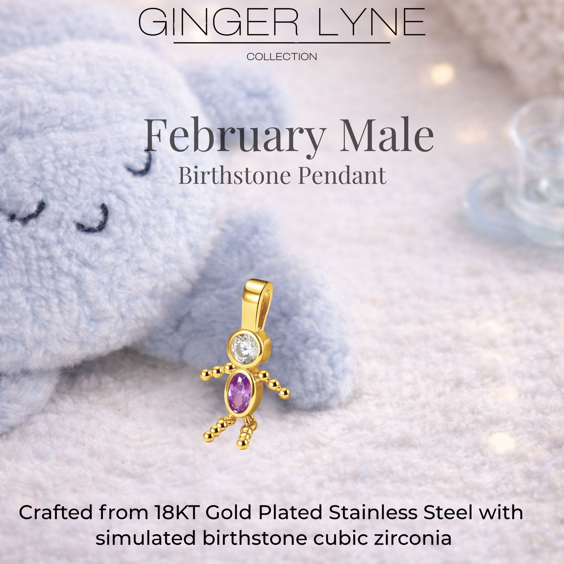 Birthstone Family Pendant for Mom by Ginger Lyne Stainless Steel Cubic Zirconia Charms For Grandma Necklace_Male-February-Gold-3