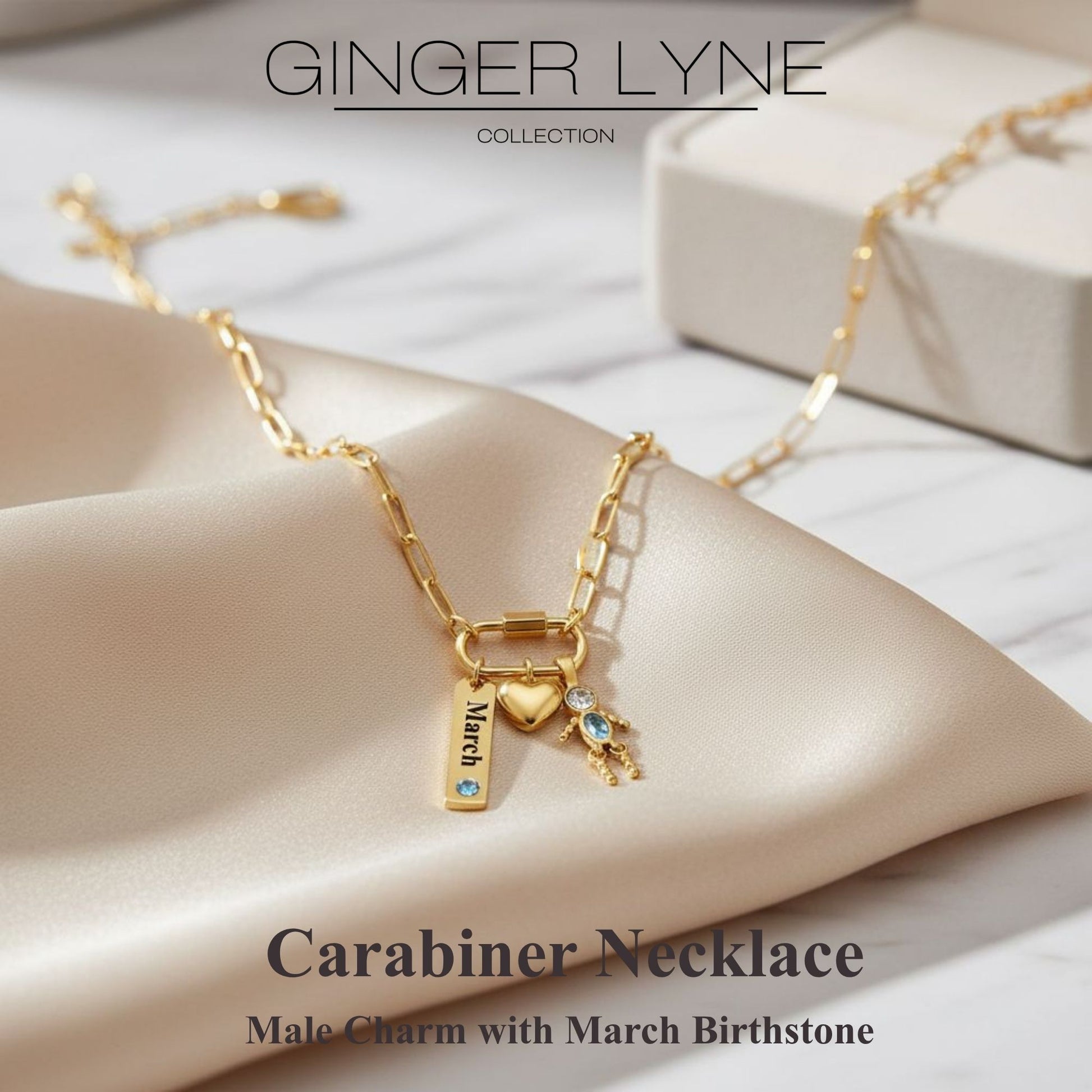 Carabiner Family Birthstone Necklace for Mom or Grandma by Ginger Lyne Stainless Steel CZ Birthday Charms_Male-March-Gold-2