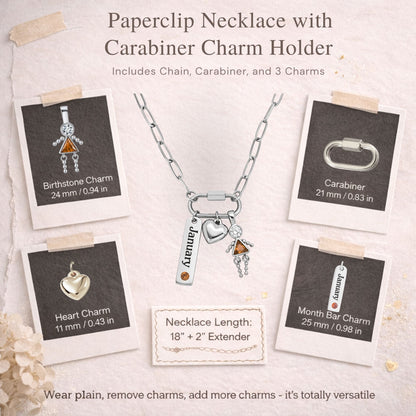 Carabiner Family Birthstone Necklace for Mom or Grandma by Ginger Lyne Stainless Steel CZ Birthday Charms_Female-January-Silver-4