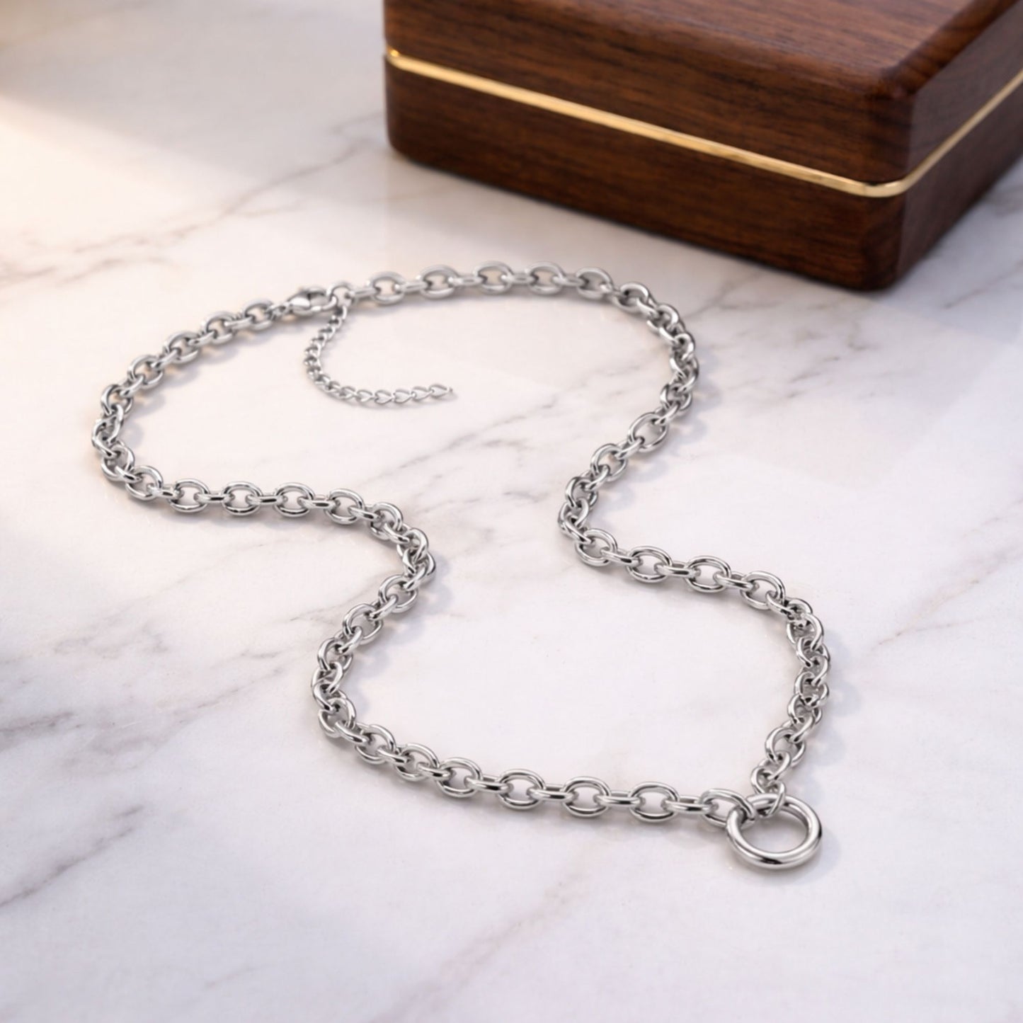 Carabiner Charm Necklace for Women O Link Chain Round Holder Stainless Steel by Ginger Lyne - 14mm/Silver