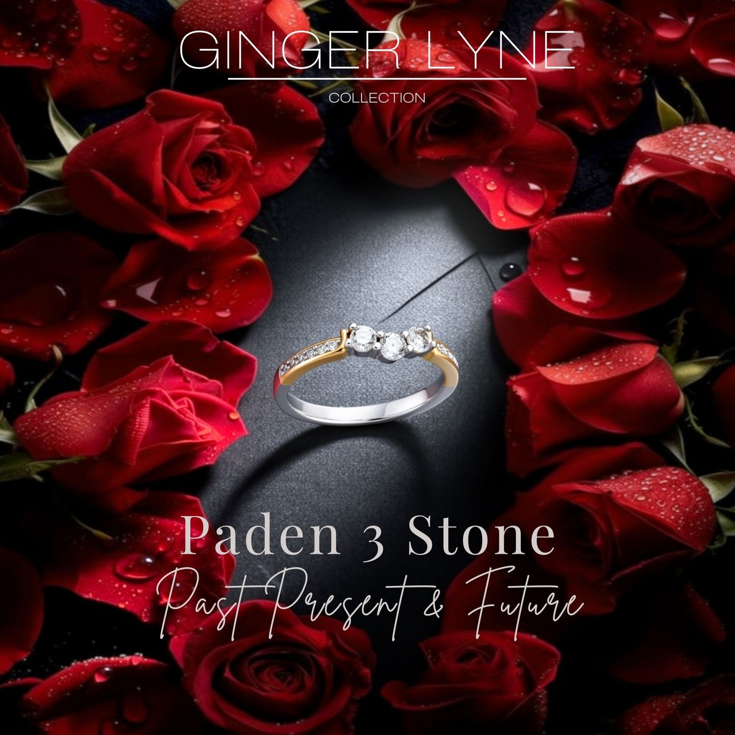 PadenAnniversaryBandRingRoseSterlingSilverWomensGingerLyneCollection_BandOnly,10-4