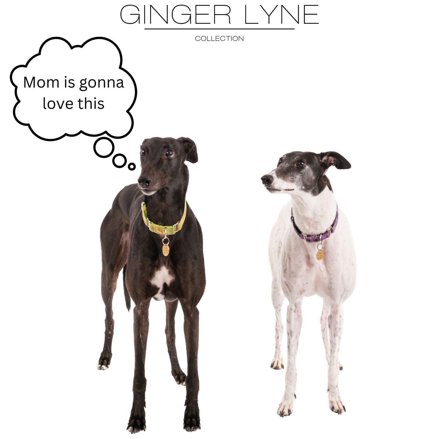 Greyhound Dog Necklace for Women Pendant Chain Sterling Silver Ginger Lyne Collection - Necklace