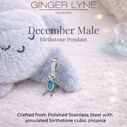 Birthstone Family Pendant for Mom by Ginger Lyne Stainless Steel Cubic Zirconia Charms For Grandma Necklace_Male-December-Silver-3