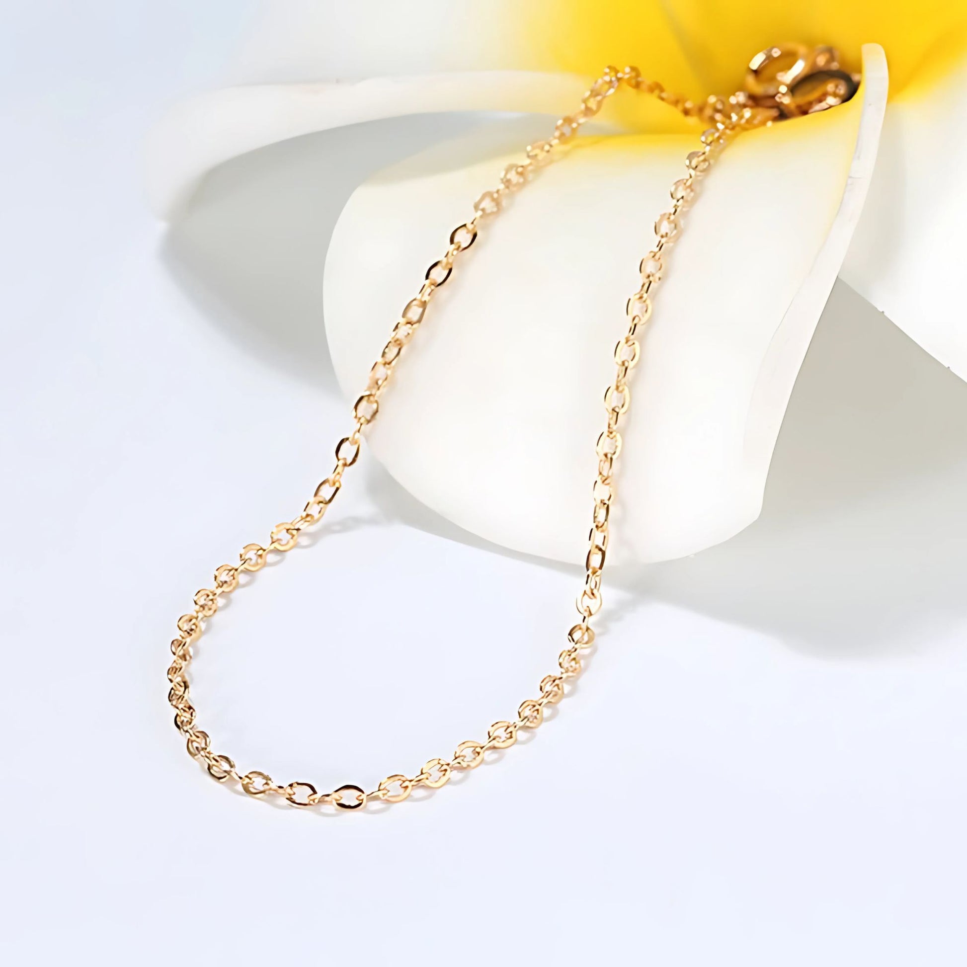 YellowGoldPlatedSterlingSilver18-20"InchRoloChainforWomenorMenGingerLyneCollection_Gold-2