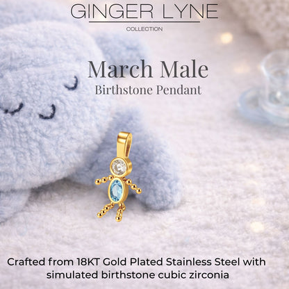 Birthstone Family Pendant for Mom by Ginger Lyne Stainless Steel Cubic Zirconia Charms For Grandma Necklace_Male-March-Gold-3