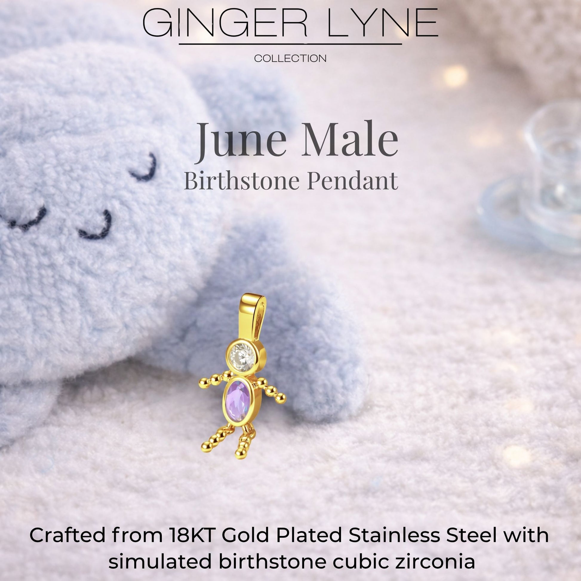 Birthstone Family Pendant for Mom by Ginger Lyne Stainless Steel Cubic Zirconia Charms For Grandma Necklace_Male-June-Gold-3