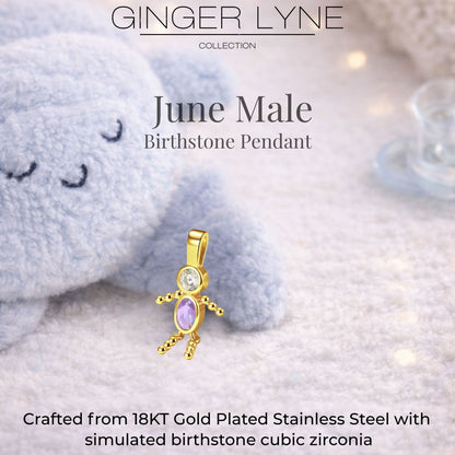 Birthstone Family Pendant for Mom by Ginger Lyne Stainless Steel Cubic Zirconia Charms For Grandma Necklace_Male-June-Gold-3