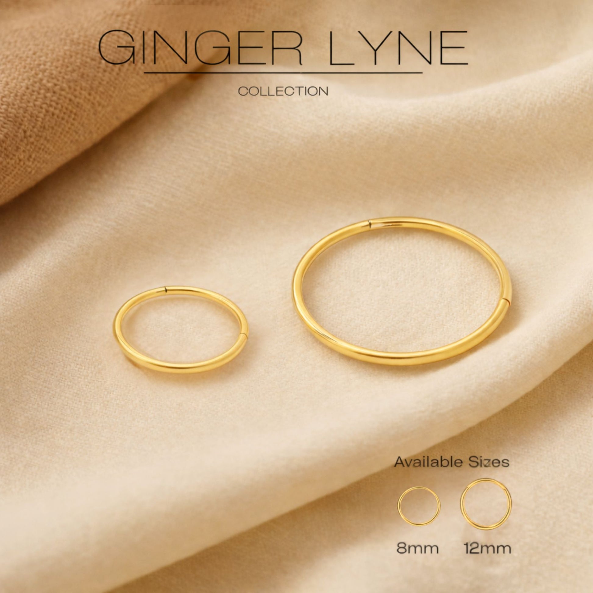 Thin Hoop Earrings Ginger Lyne 20 Gauge Stainless Steel Hinged Clicker for Lobe Cartilage Nose Piercing Body Jewelry - Silver-8mm