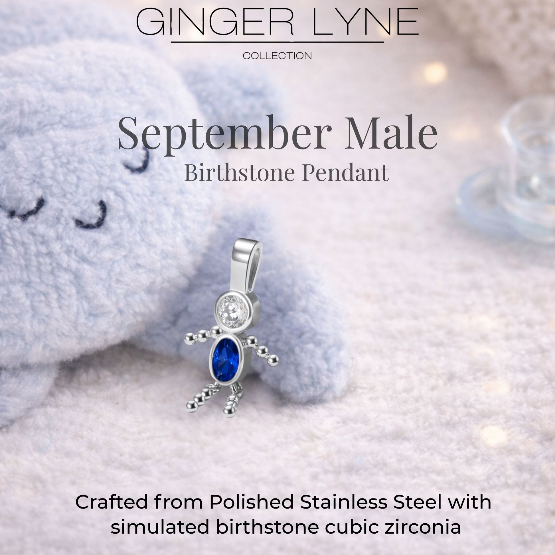 Birthstone Family Pendant for Mom by Ginger Lyne Stainless Steel Cubic Zirconia Charms For Grandma Necklace_Male-September-Silver-3