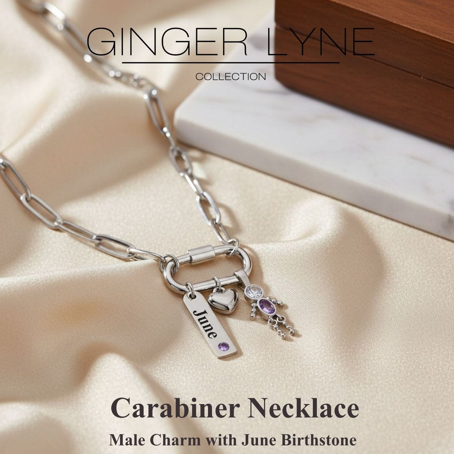 Carabiner Family Birthstone Necklace for Mom or Grandma by Ginger Lyne Stainless Steel CZ Birthday Charms_Male-June-Silver-2